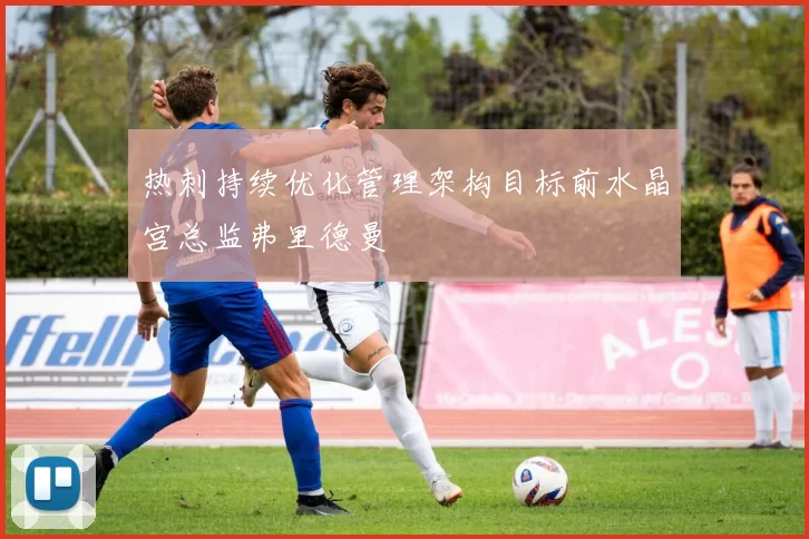 热刺持续优化管理架构目标前水晶宫总监弗里德曼