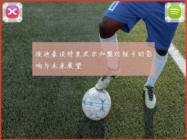 埃迪豪谈特里皮尔加盟对纽卡的影响与未来展望