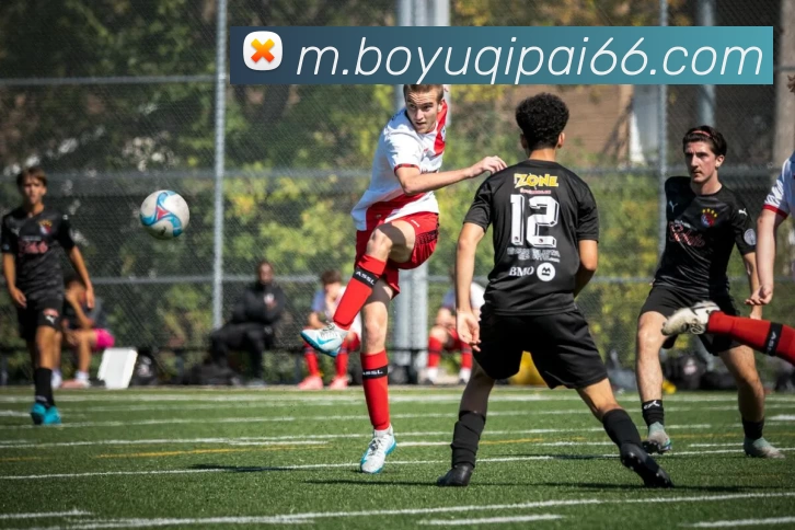 多媒体互动体验