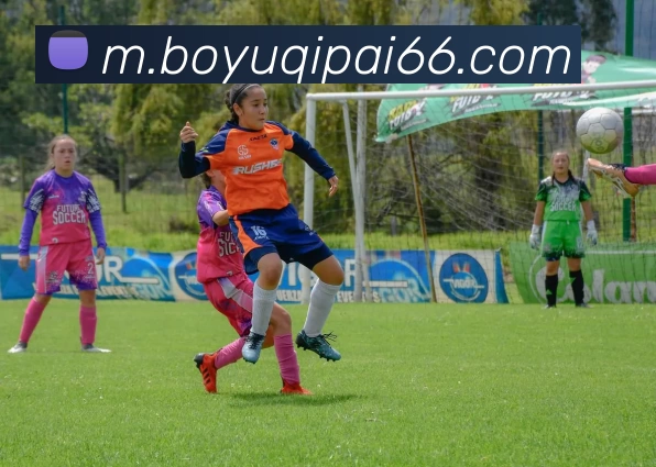 博鱼棋牌APP 高清赛事图